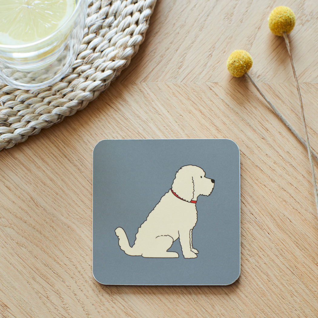 Apricot Cockapoo Coaster
