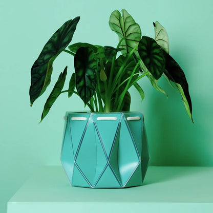 Self Watering Plant Pot - 11cm