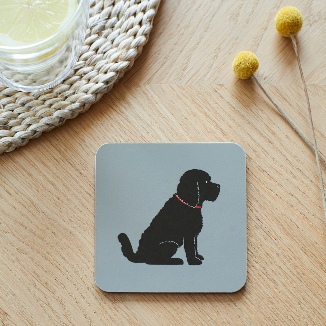 Black Cockapoo Coaster