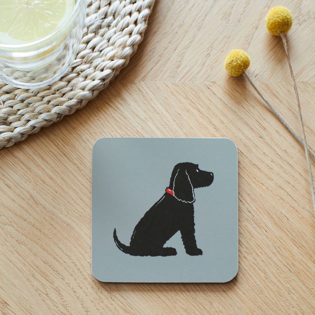 Black Cocker Spaniel Coaster