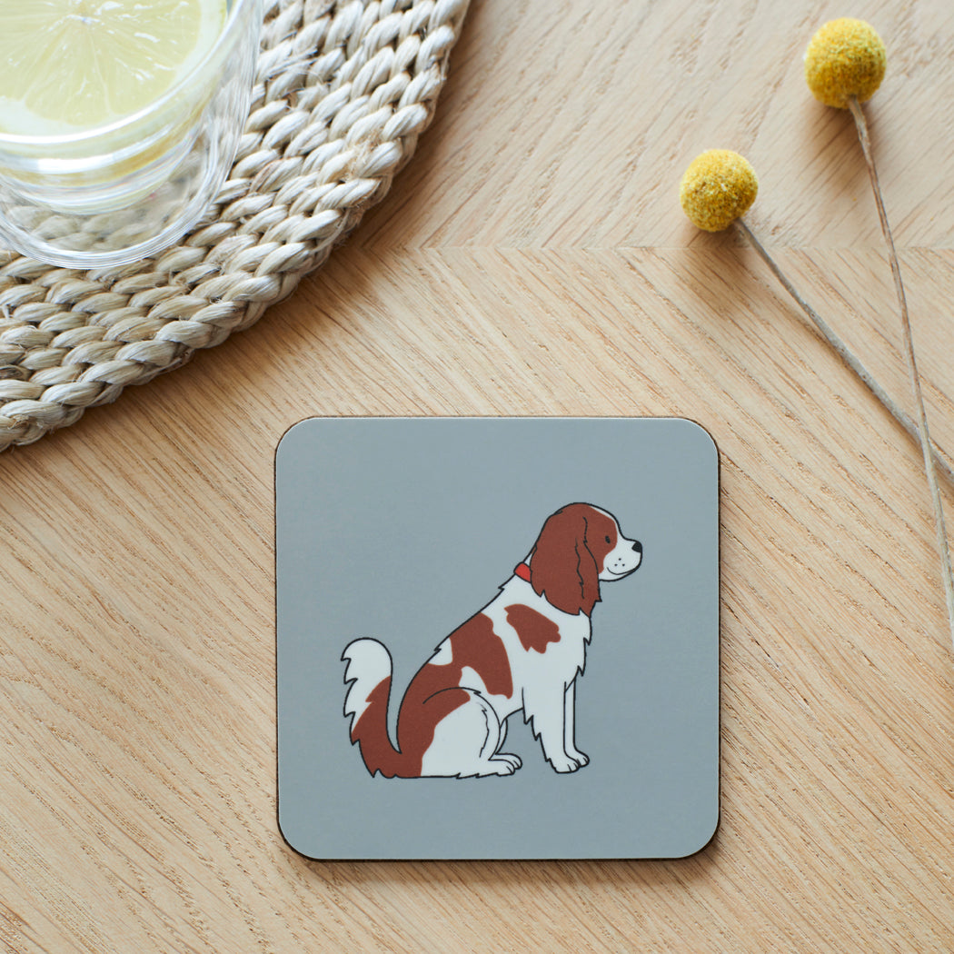 Cavelier King Charles Spaniel Coaster