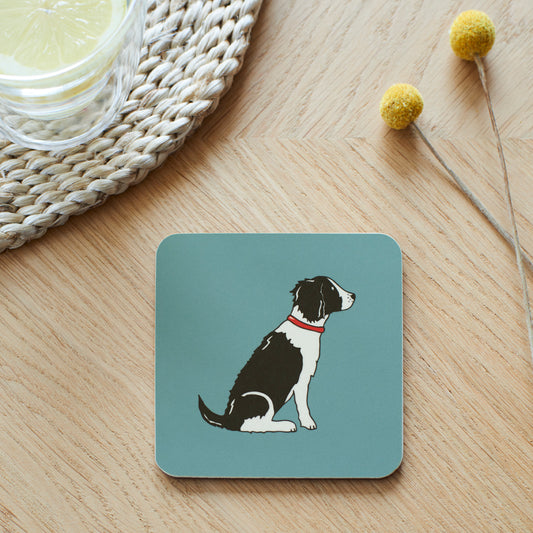 Black Springer Spaniel