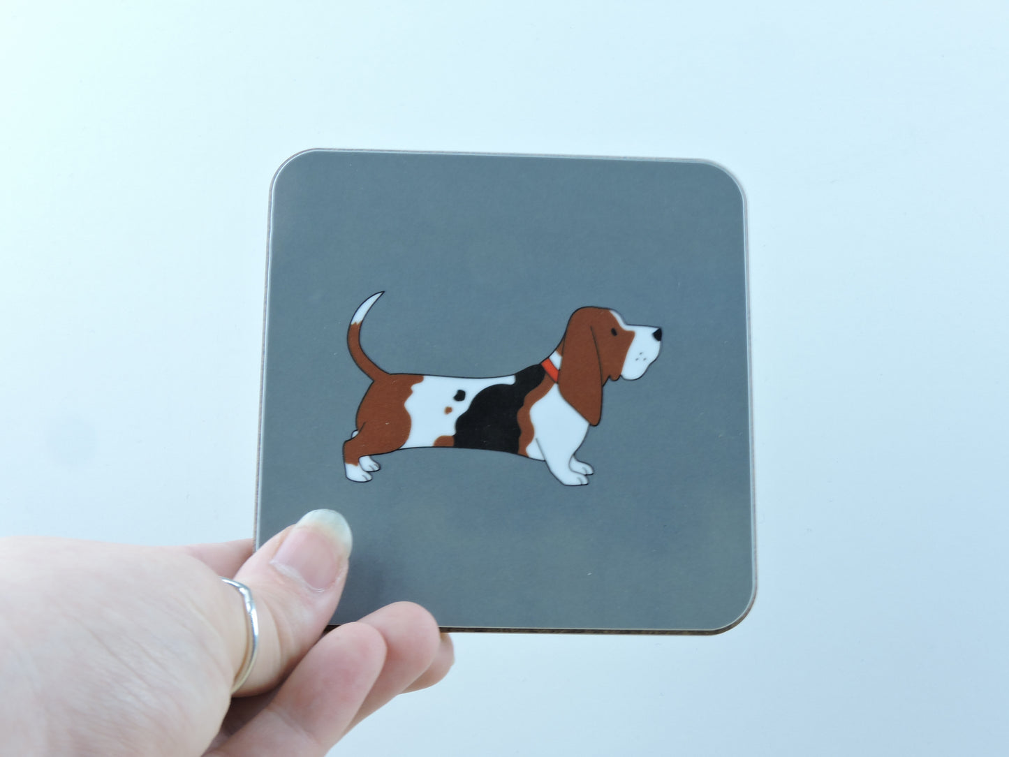 Basset Hound