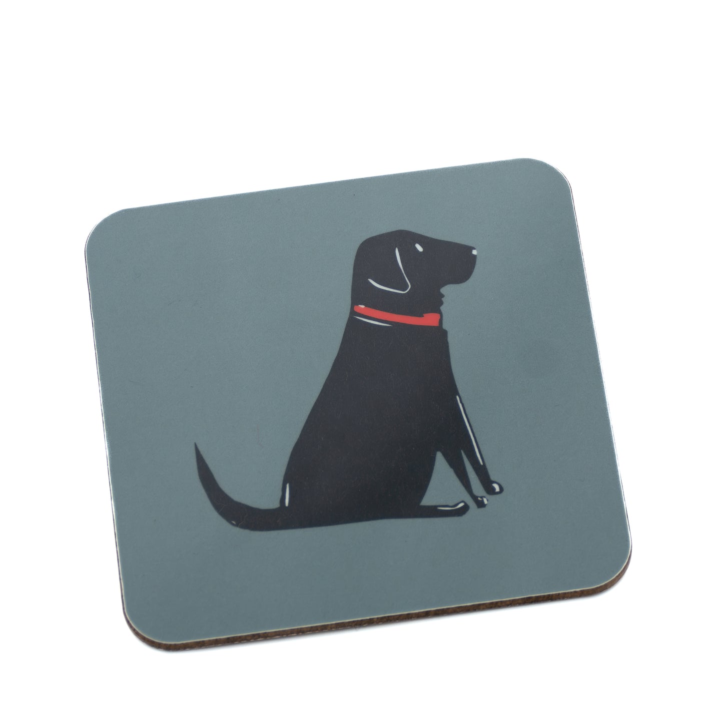 Black Labrador