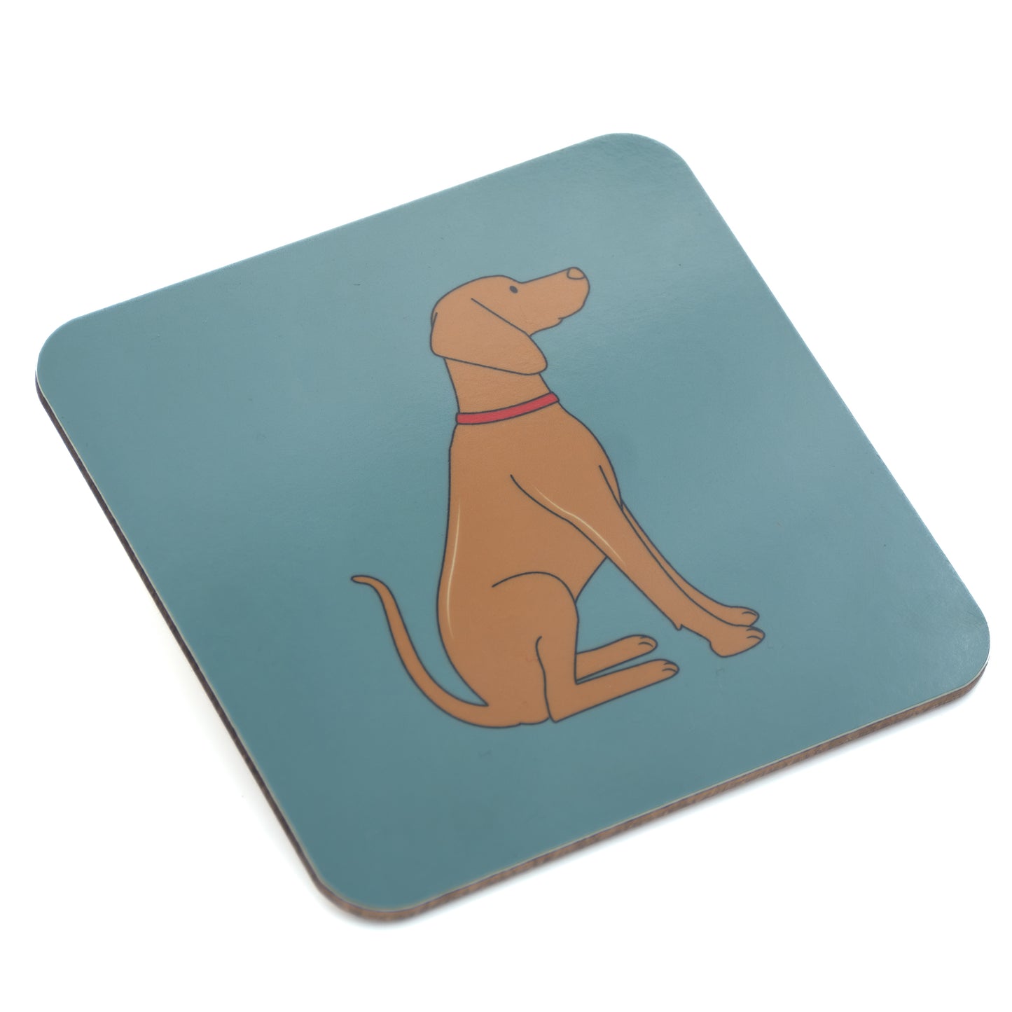 Vizsla
