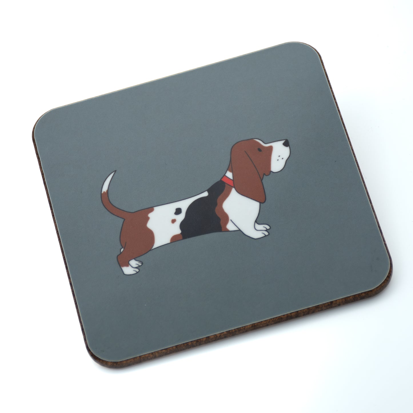 Basset Hound