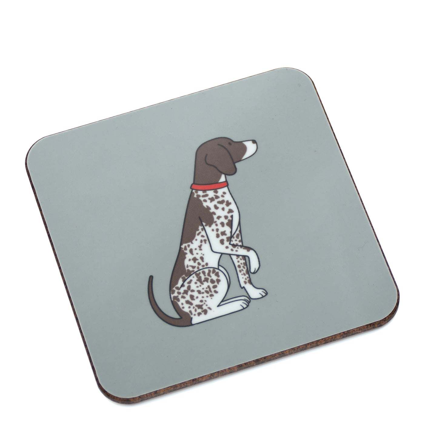 German Shorthaired Pointer