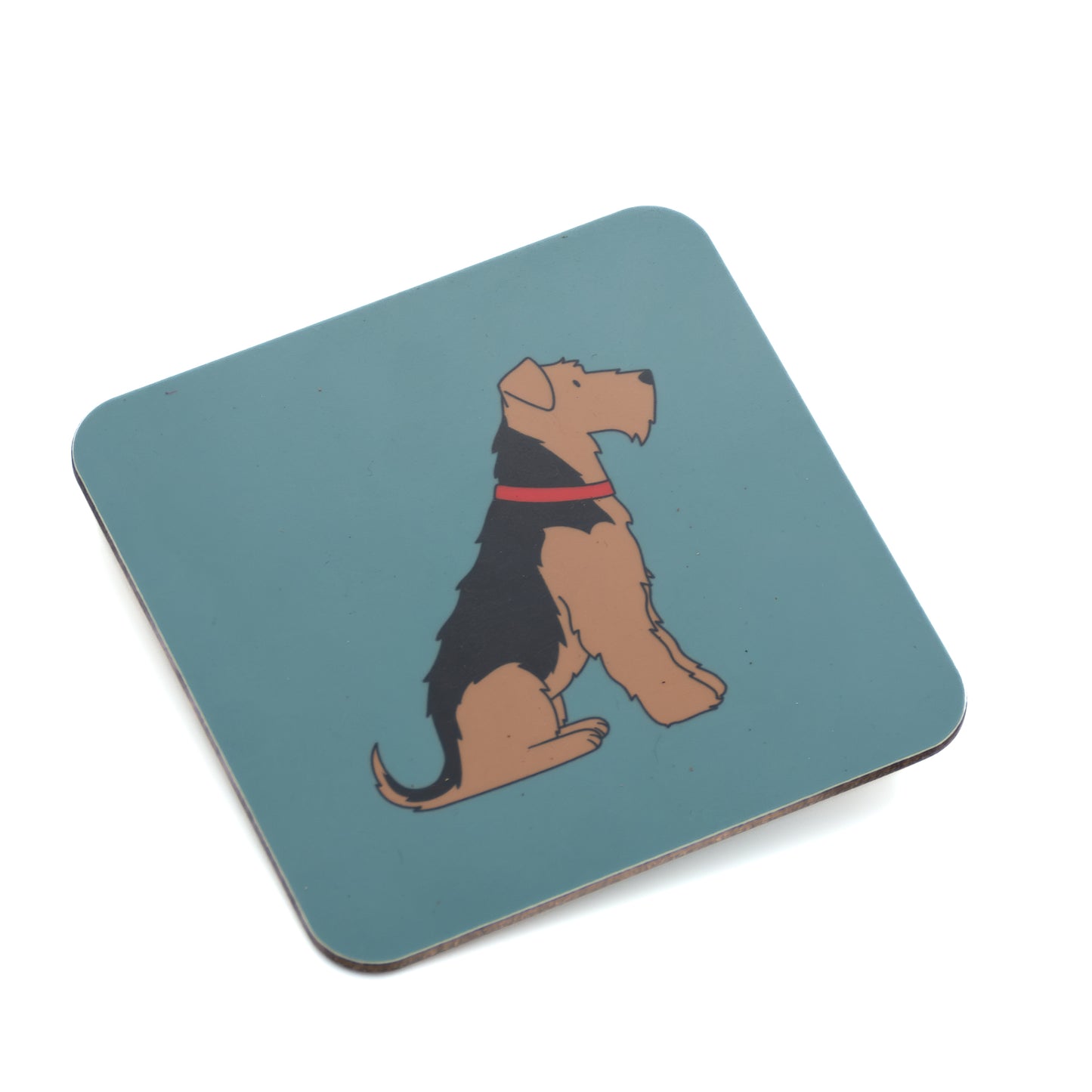 Airedale/Lakeland/Welsh Terrier