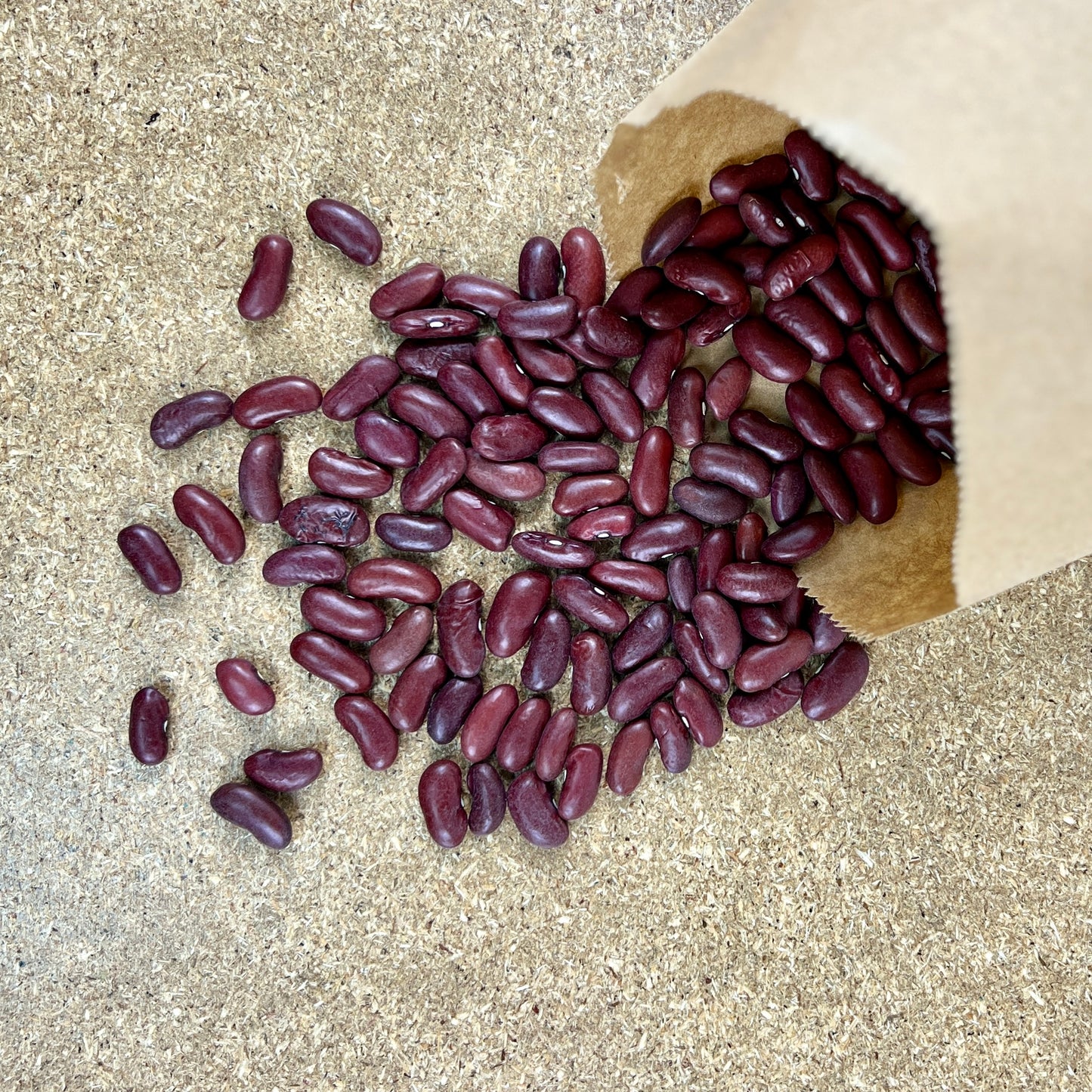 Red Kidney Beans