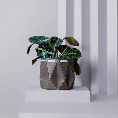 Self Watering Plant Pot - 11cm